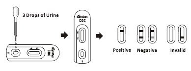 Cassetta rapida combinata della prova di Entamoeba+Giardia+Crypto (feci) in 3 Windows