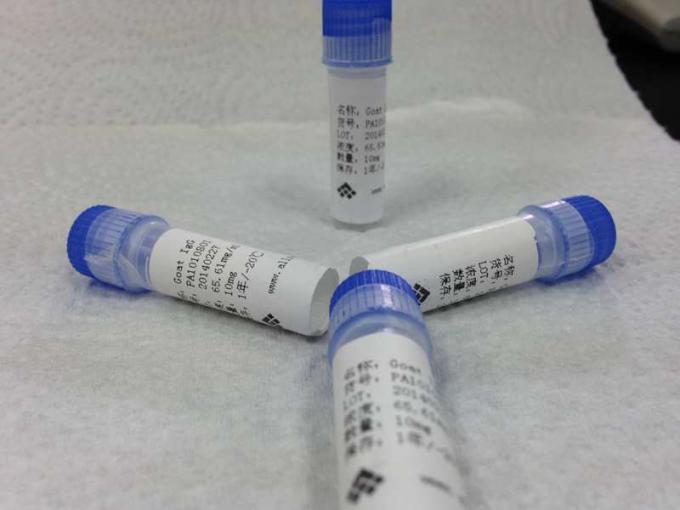 Malattia infettiva policlonale dell'anticorpo dell'anti Topo-IgG della capra per il laboratorio