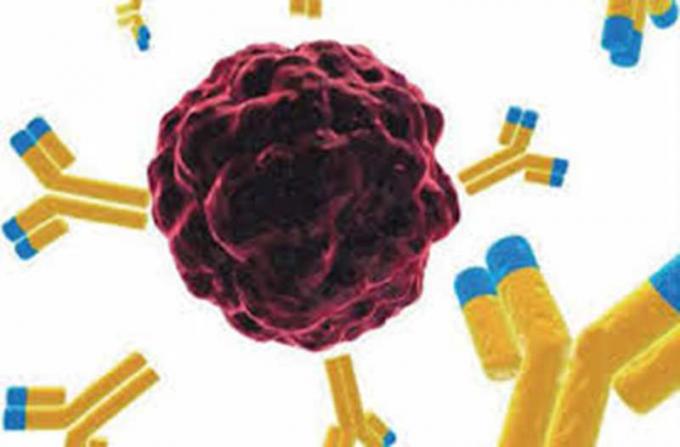 anticorpo monoclonale del topo anti- delle benzodiazepine per ricerca di IVD