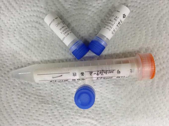 Anticorpo monoclonale del topo di rendimento elevato a metamfetamina anti-