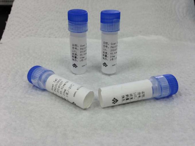 Antidepressivo anti-Triciclico farmaceutico un anticorpo su ordinazione di Monoclone