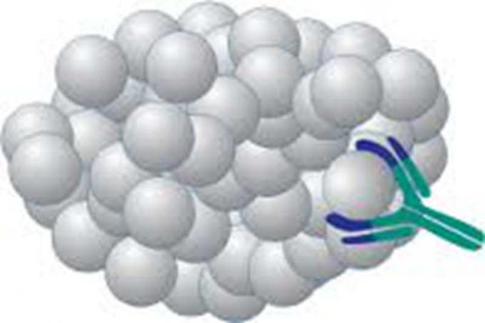 Droga su ordinazione dell'anticorpo di Monoclone dell'antigene anti--Methaqualonum del topo di ricerca del forIVD di abuso