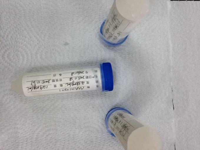 Antigeni ricombinanti purificati abitudine Sifilide-TP 66 per l'analisi della membrana