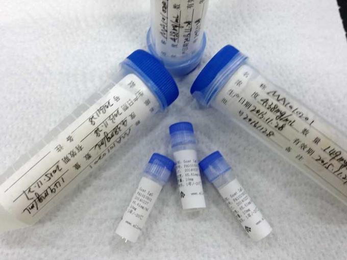 Alti antigeni ricombinanti di sensibilità HSV-1 per ricerca di sistema diagnostico di Vitro