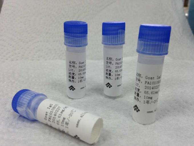 Antigeni ricombinanti del citomegalovirus CMV per l'analisi di ELISA