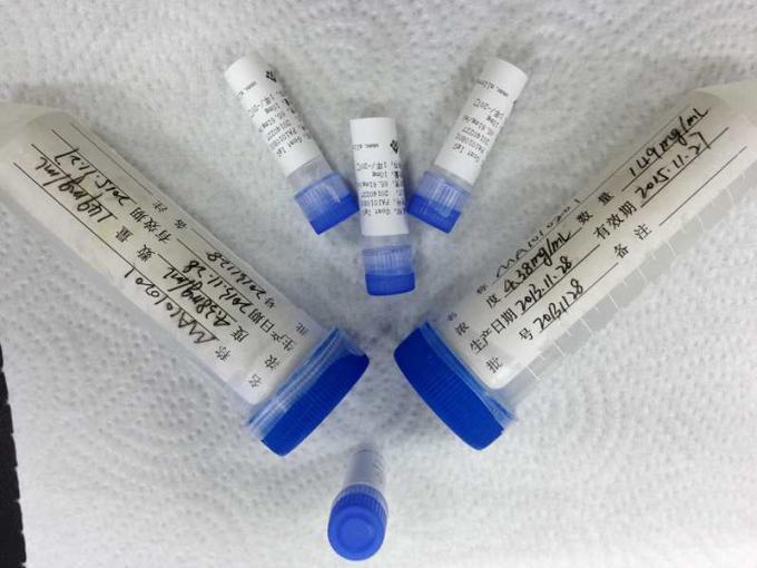 Malattia infettiva recombinante dell'antigene del gene di malaria di PV-ADL