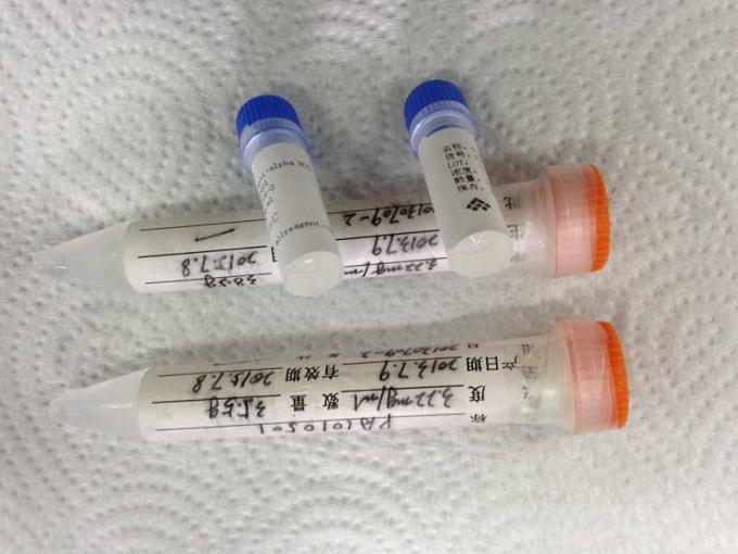 Anticorpo monoclonale dell'ibridoma anti- medico dell'alfa HCG per ricerca di IVD