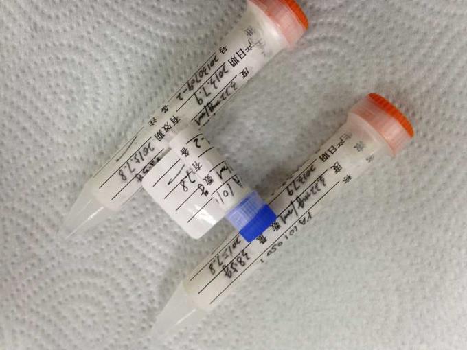 topo animale anti- Mab 4.19mg/mL dell'anticorpo di HBeAg Mab-1 Monoclone