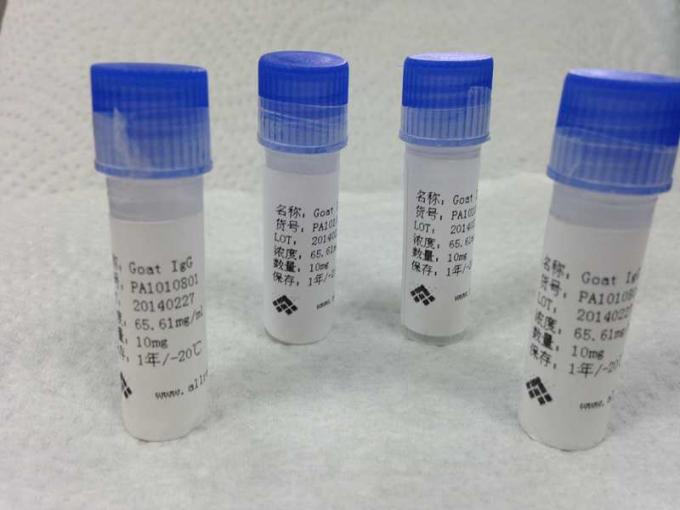 Il topo ha purificato il mono liquido clonale dell'anticorpo del topo anti- della morfina per la ricerca di Vitro