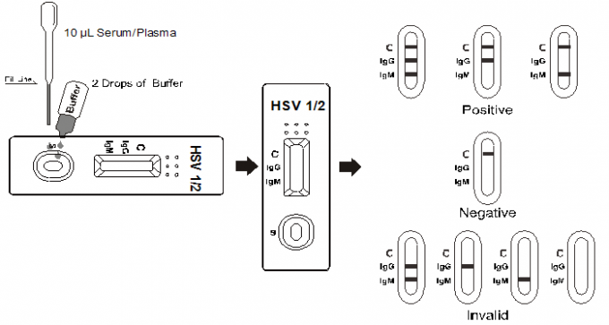 HSV 1/2 IgG/dosagggio immunologico cromatografico prova di IgM di flusso laterale rapido della cassetta