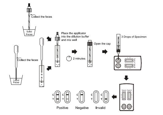 Il flusso laterale Immunochromatographic del CE analizza la cassetta rapida combinata della prova della tossina B della tossina A+ di clostridium difficile