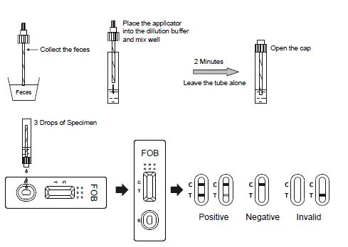 Test diagnostico rapido combinato di giardia lamblia e di Cryptosporidium con CE
