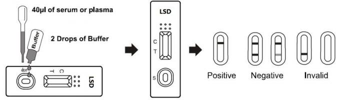 Dosagggio immunologico cromatografico di abuso di droga di Diethylamide di acido lisergico del corredo rapido della prova nell'intero sangue /Serum/Plasma