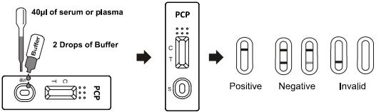 Nessun OEM di diagnosi di /serum /plasma Phencyclidine dell'intero sangue del corredo della prova di abuso di droga di reattività crociata 25ng/ml PCP