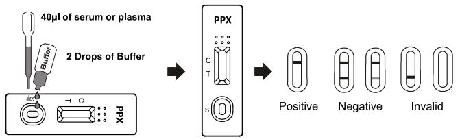 L'abuso di droga di /serum /plasma dell'alto sangue di specificità e della sensibilità 300ng/ml PPX intero esamina l'OEM del corredo PPX