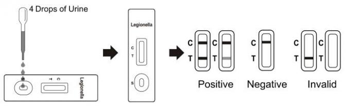 Cassetta rapida della prova di legionella pneumophila (urina)