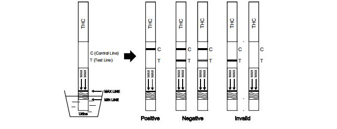 Digiuna la singole striscia test dell'urina conveniente della marijuana THC THC/droga del corredo della prova di abuso