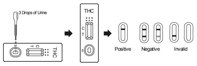 Digiuna la singole striscia test dell'urina conveniente della marijuana THC THC/droga del corredo della prova di abuso