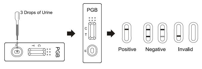 Asta misura-livello/pannello rapidi della cassetta della prova di PGB per Pregabalin nella rilevazione qualitativa dell'urina umana