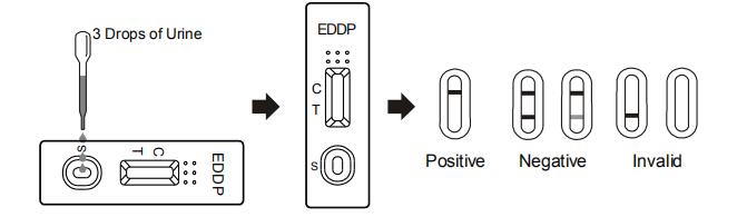 Prova rapida per la rilevazione qualitativa dell'acido EDDP dell'etilenediammina-dimethylphosphinic in urina umana