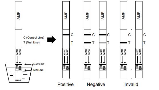 Pannello di esame delle urine rapido dell'anfetamina droga stabile di (AMP) della singola/prodotto medico asta misura-livello/della cassetta con CE/FDA