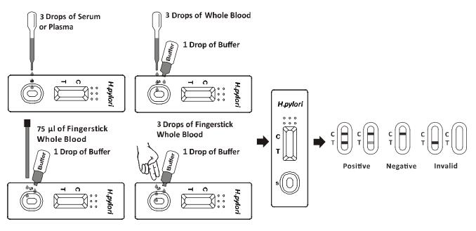 Cassetta rapida della prova dell'anticorpo dei pilori del H. (intero sangue /Serum/Plasma) con CE