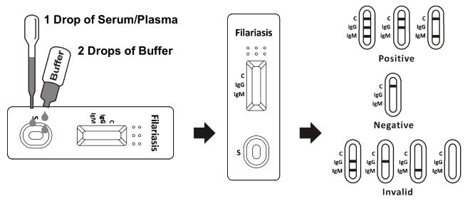 Cassetta rapida della prova di filariosi IgG/IgM (siero/plasma)