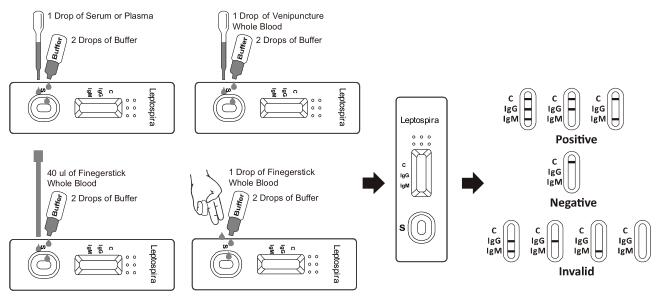 Cassetta rapida della prova della leptospira IgG/IgM (intero sangue/siero/plasma) con CE
