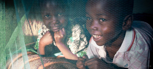 Latest company news about Il WHO raccomanda l'uso delle zanzariere Piretroide-trattate per la prevenzione di malaria