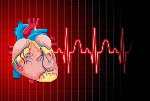 Latest company news about Recuperando da un attacco di cuore: Morte del muscolo della latta è invertito?