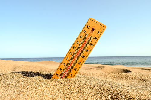 Ultime notizie aziendali su Il caldo è acceso: l'aumento delle temperature comporta rischi per la salute