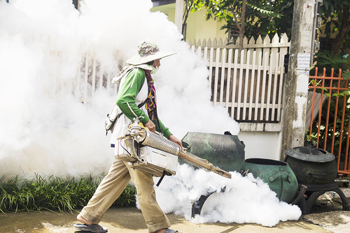 Ultime notizie aziendali su Cosa sapere sulla febbre dengue mentre i casi si diffondono in nuovi luoghi