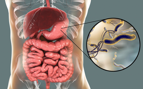 Ultime notizie aziendali su Helicobacter pylori: scoprire il colpevole nascosto della salute dello stomaco
