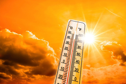 Ultime notizie aziendali su Come affrontare i pericoli delle ondate di caldo