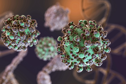 Ultimi blog aziendali su Virus oncogeni: la minaccia nascosta per la salute pubblica