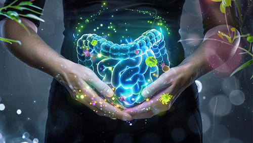Ultimi blog aziendali su La pietra angolare del benessere generale: la salute del tratto intestinale