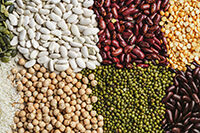 Ultimi blog aziendali su The Power of Beans in Breast Cancer Prevention