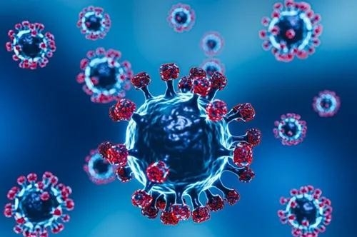 Ultime notizie aziendali su Il WHO è scienza in 5 su COVID-19: Perché esperti sono interessati circa Omicron?