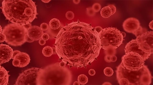Latest company news about Più di 100 confermati o i casi sospettati di monkeypox sono stati riferiti in 12 paesi, compreso gli Stati Uniti