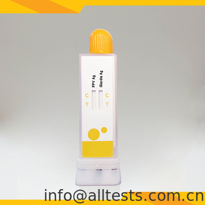Good price FPV Giardia Lamblia Antigen Combo Test Kit Sensibilità Stabilità Coppa di diagnosi veterinaria in linea