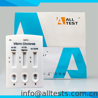 Good price Test per le malattie infettive Rilevazione rapida di Vibrio cholerae O1 O139 nelle feci umane Immunoassay cromatografico in linea