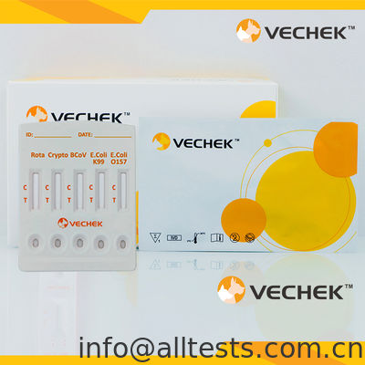 Un buon prezzo. Cassetta per test rapido combinato per antigeni di Rotavirus+Cryptosporidia+Coronavirus+E. Coli K99 +E. Coli O157 (Feci) in linea
