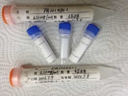 laboratory anti-Methadone Custom Metabolization Monoclone Antibody Drug of Abuse
