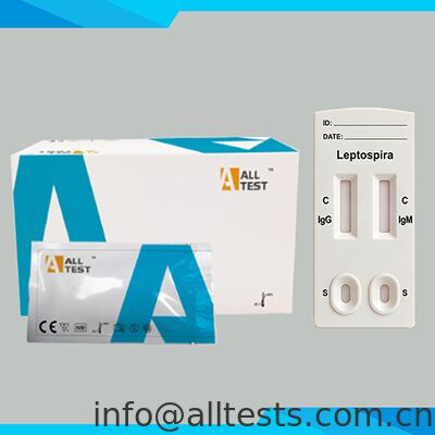 Un buon prezzo. Test rapido combinato Leptospira IgG/IgM con tempo di lettura di 15 minuti Certificato CE per campioni di sangue intero/siero/plasma in linea