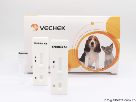 Good price Cassetta rapida della prova dell'anticorpo di ehrlichia canis, analisi del sangue rapida di facile impiego in linea