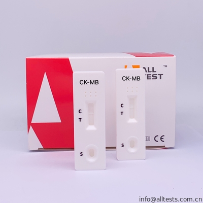Good price MB veloce ed affidabile CK - corredo rapido della chinasi della creatina della prova di MB per l'alta sensibilità in linea