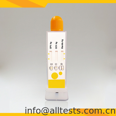 Good price Kit di test di diagnosi rapida per CPV CCV Giardia Lamblia nelle feci in linea