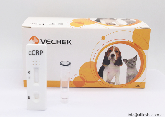 Good price Prova canina del test diagnostico della cassetta di accuratezza rapida CRP dei corredi in linea