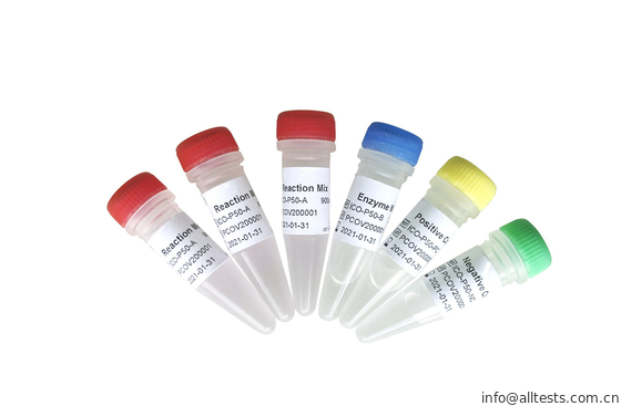 Good price Copie/ml in tempo reale di analisi 200 di Allchek SARS-COV-2 Rt Qpcr in linea